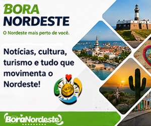 Bora - Institucional