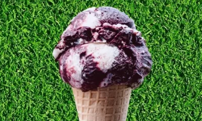 Brasil tem duas das melhores sorveterias do mundo, segundo atlas gastronômico