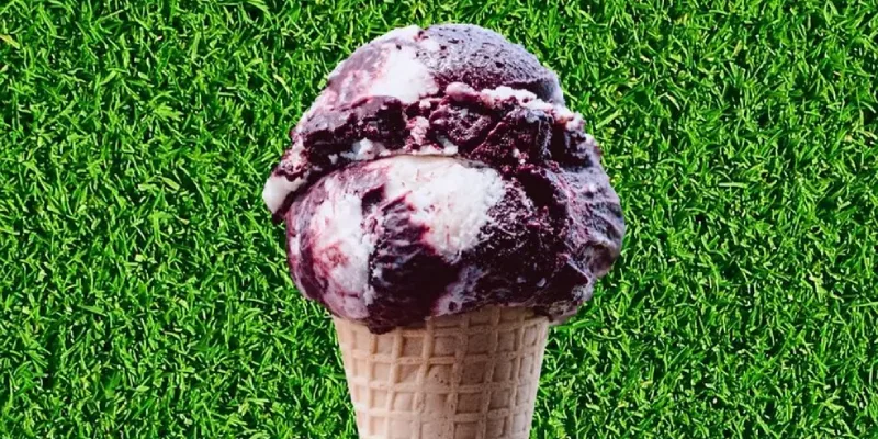 Brasil tem duas das melhores sorveterias do mundo, segundo atlas gastronômico