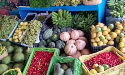 Bahia bate recorde de inscrições no Programa de Aquisição de Alimentos e o 27 territórios de identidade estão representados