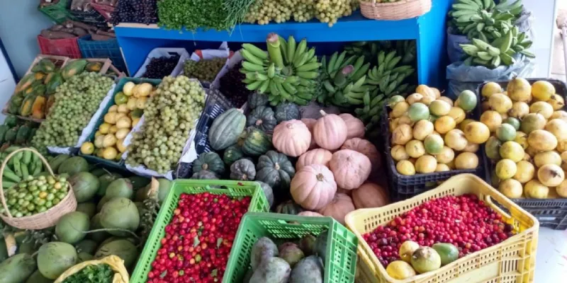 Bahia bate recorde de inscrições no Programa de Aquisição de Alimentos e o 27 territórios de identidade estão representados