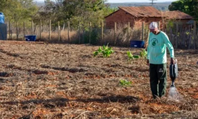 Horta comunitária transforma a vida de famílias em Santana