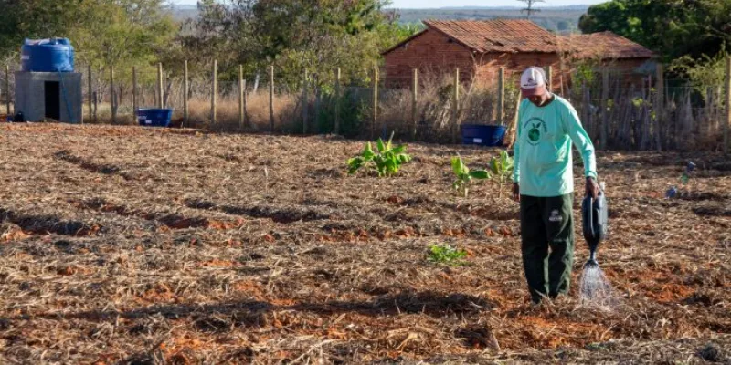 Horta comunitária transforma a vida de famílias em Santana