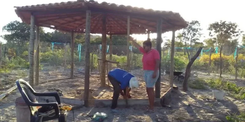 Mulheres agricultoras de Barreiras avançam na produção agroecológica